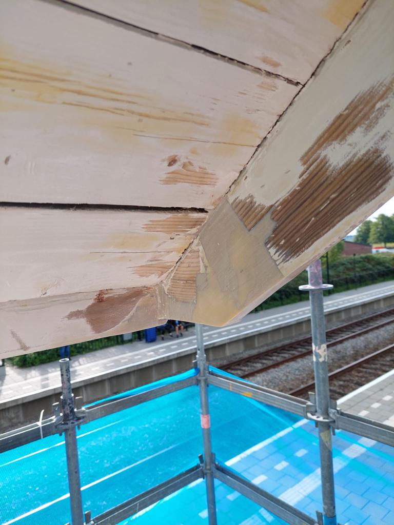 Project houtrot-3.jpeg