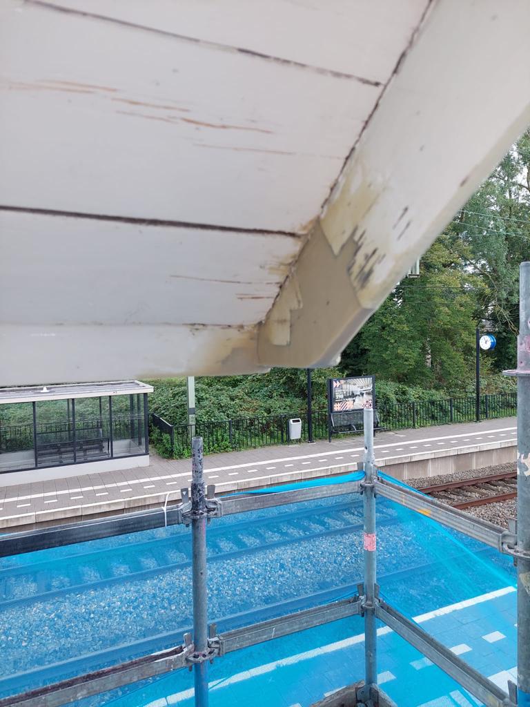 Project houtrot-2.jpeg