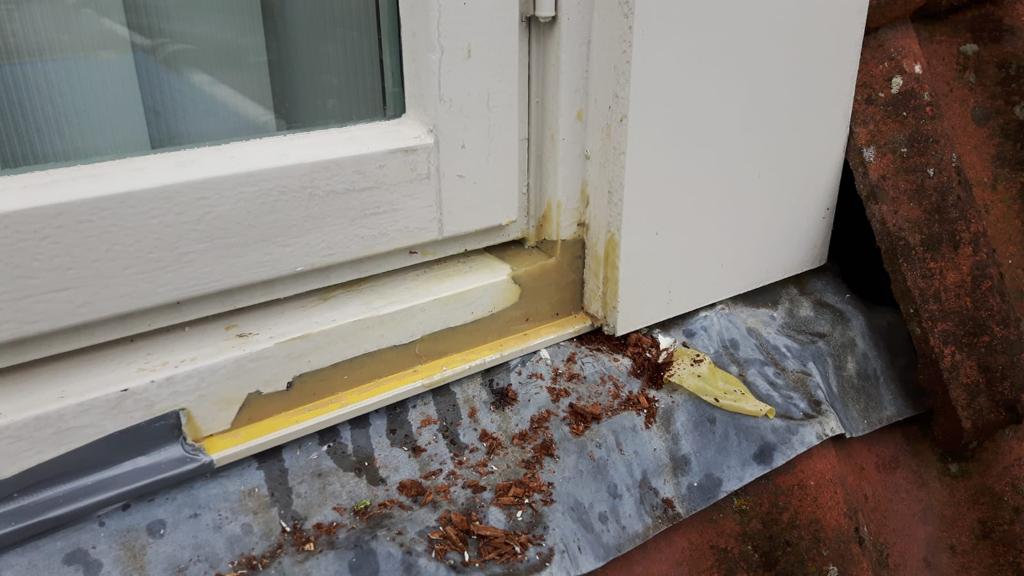 Project houtrot-5.jpeg