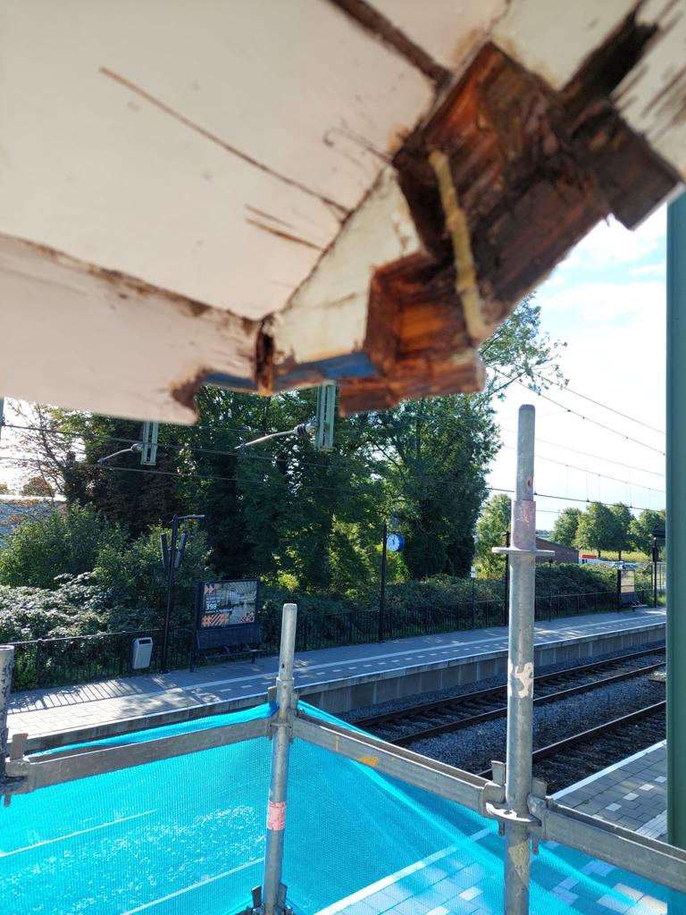 Project houtrot-1.jpeg